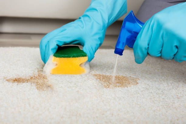 Cleaning stain with sponge on a carpet - Ottumwa, IA - Heaven's Best Ottumwa, IA