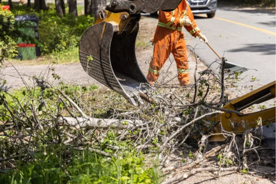 Hydraulic arm of an excavator removing tree branches and debris from the highway after a storm.