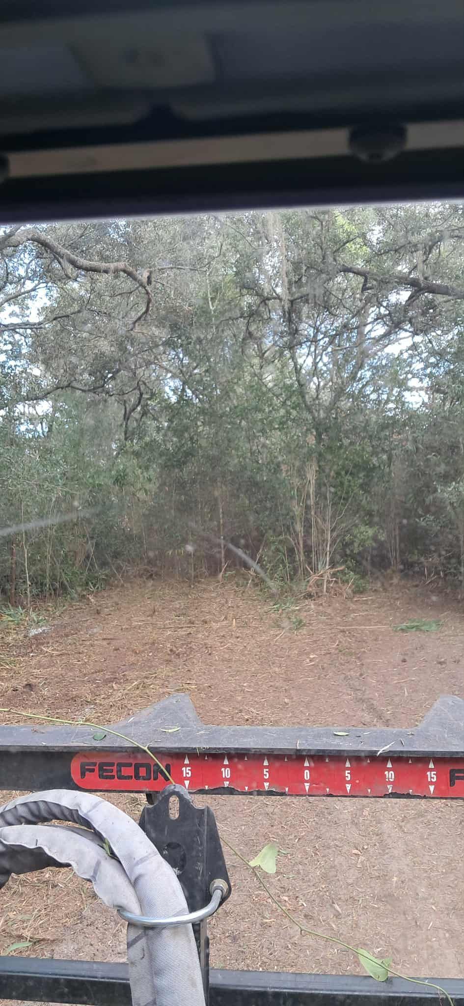 View from inside a structure, looking out at trees and ground covered in leaves.