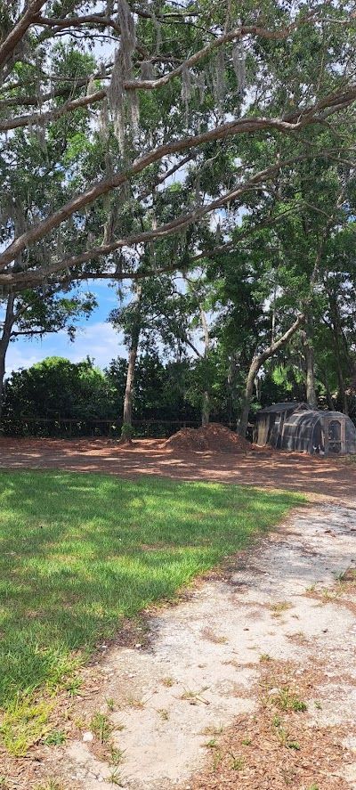A tree-lined park with a dirt path, grassy area, and a glimpse of blue sky.