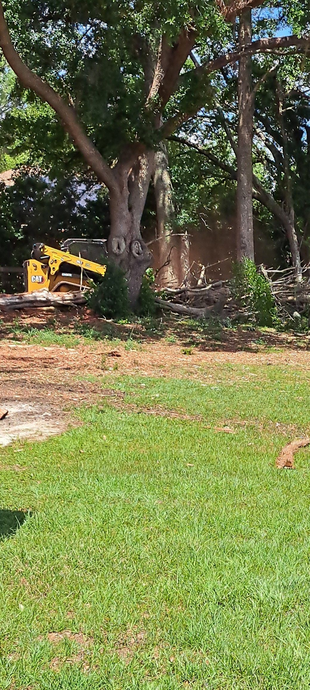 Yellow construction equipment near trees, with green grass in the foreground.