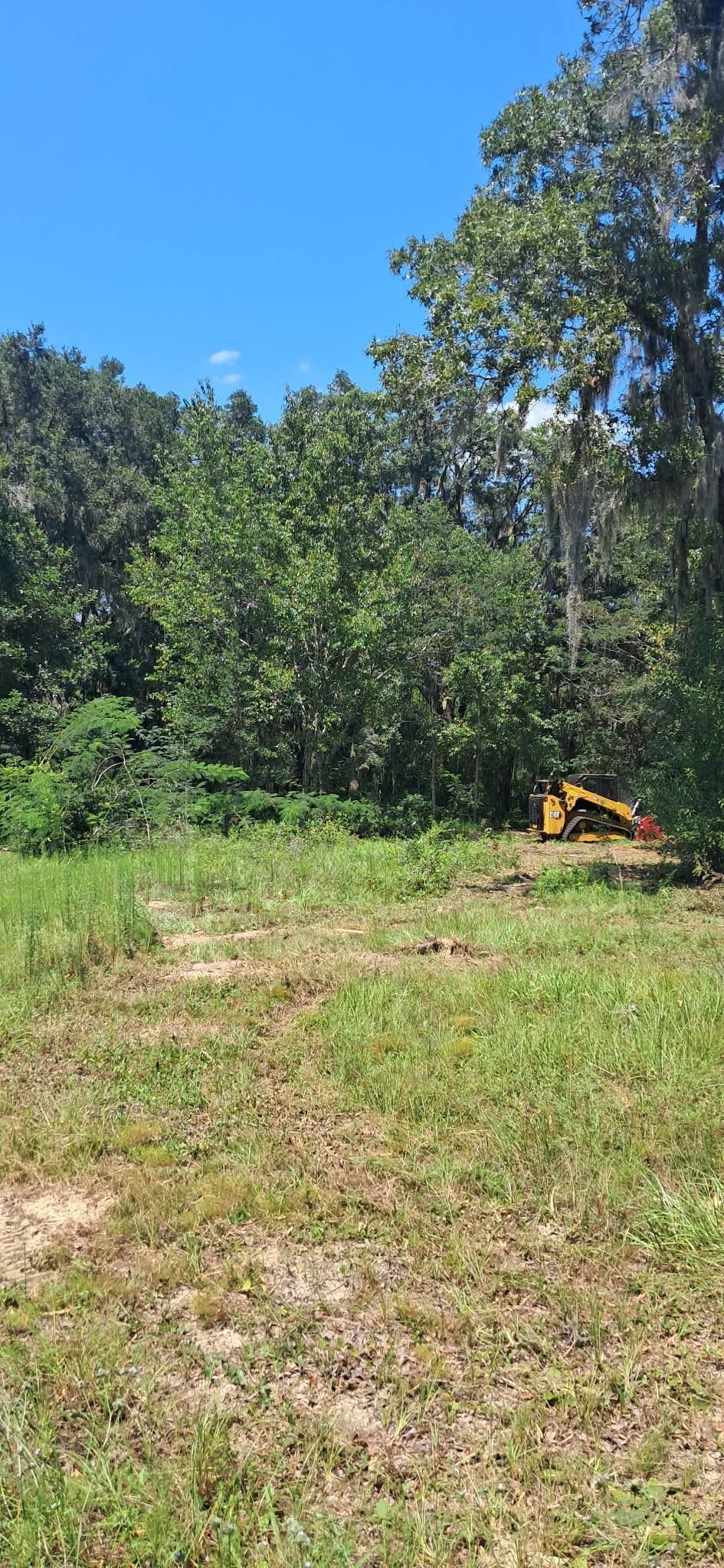A yellow construction vehicle clearing land by a tree line on a bright, sunny day.
