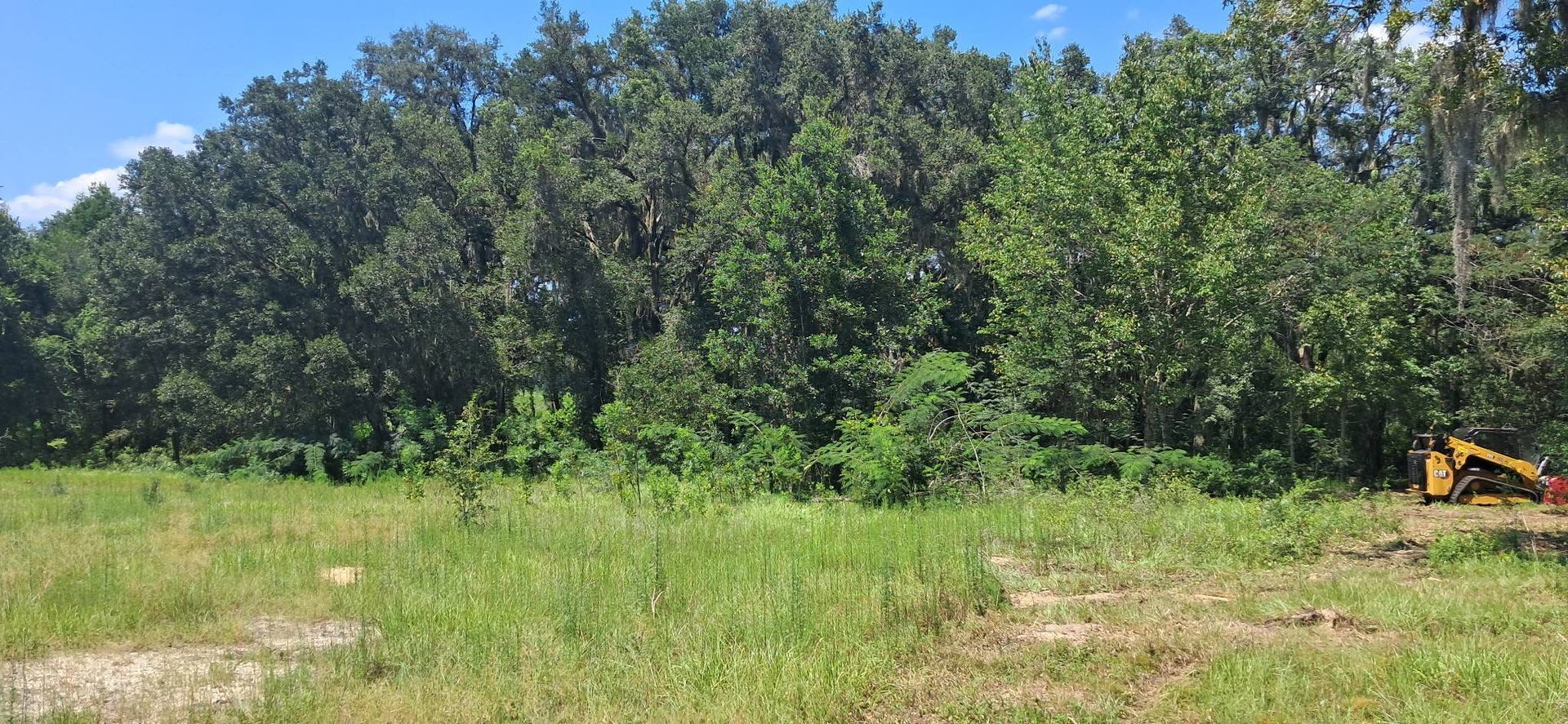 Grassy field in front of a line of green trees under a blue sky. A yellow machine is visible on the right.
