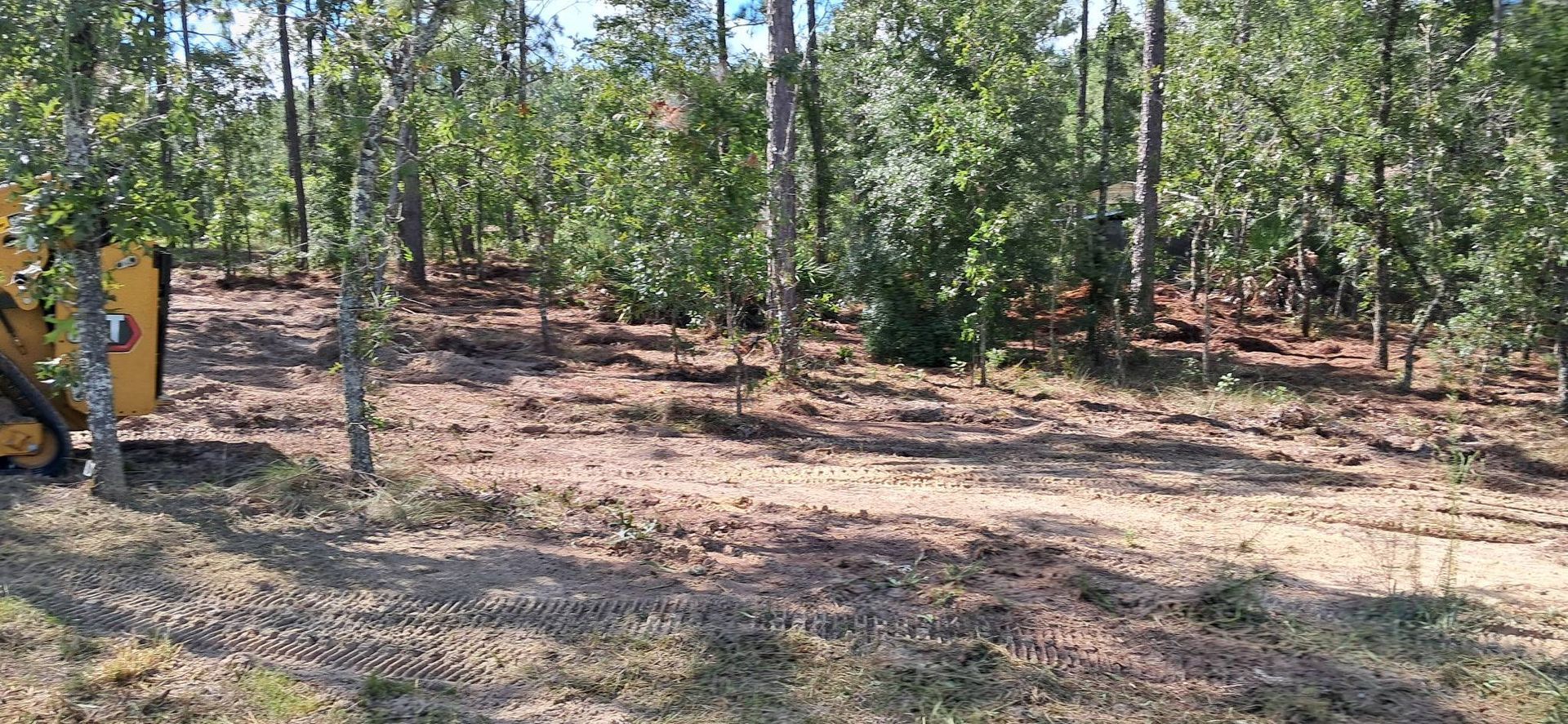 A yellow bulldozer clearing a wooded area, trees in the background, sunny day.