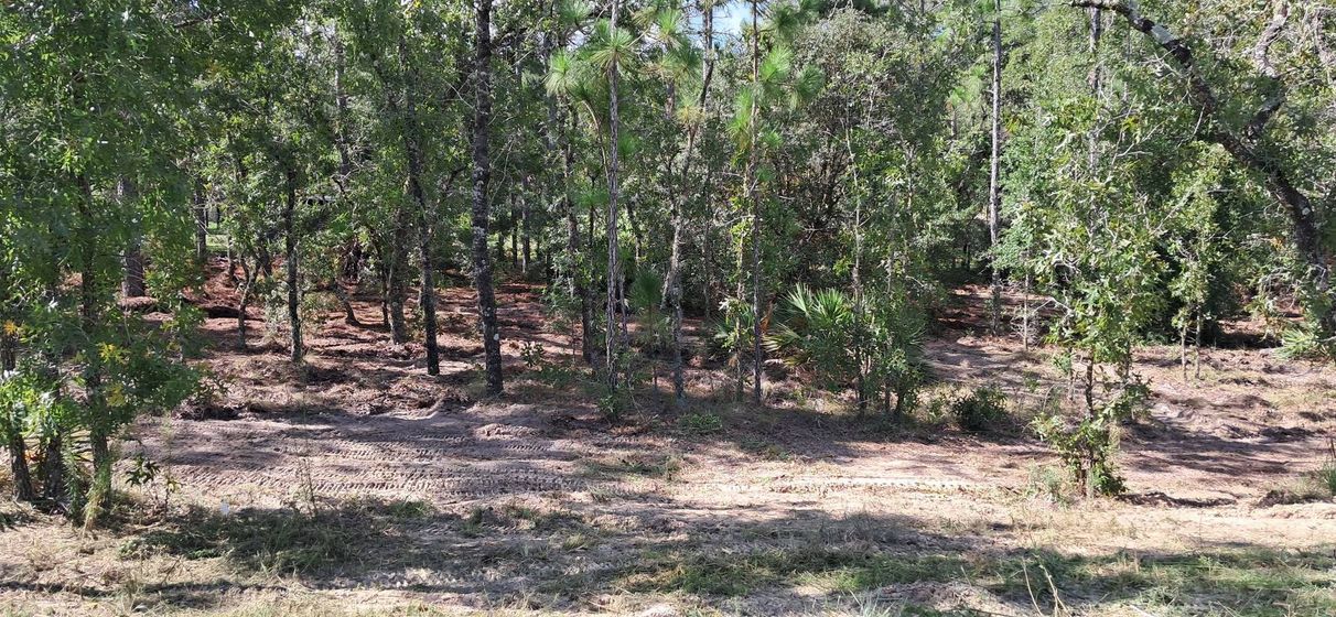A white truck is parked in a parking lot next to a building.