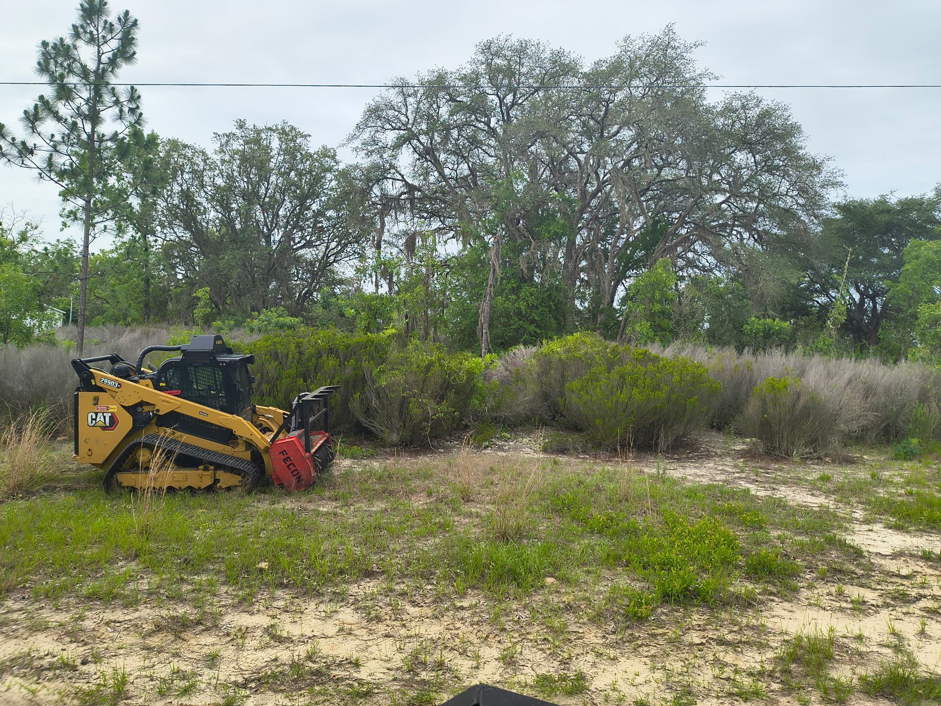 Yellow skid-steer loader on a grassy dirt field near trees and shrubs