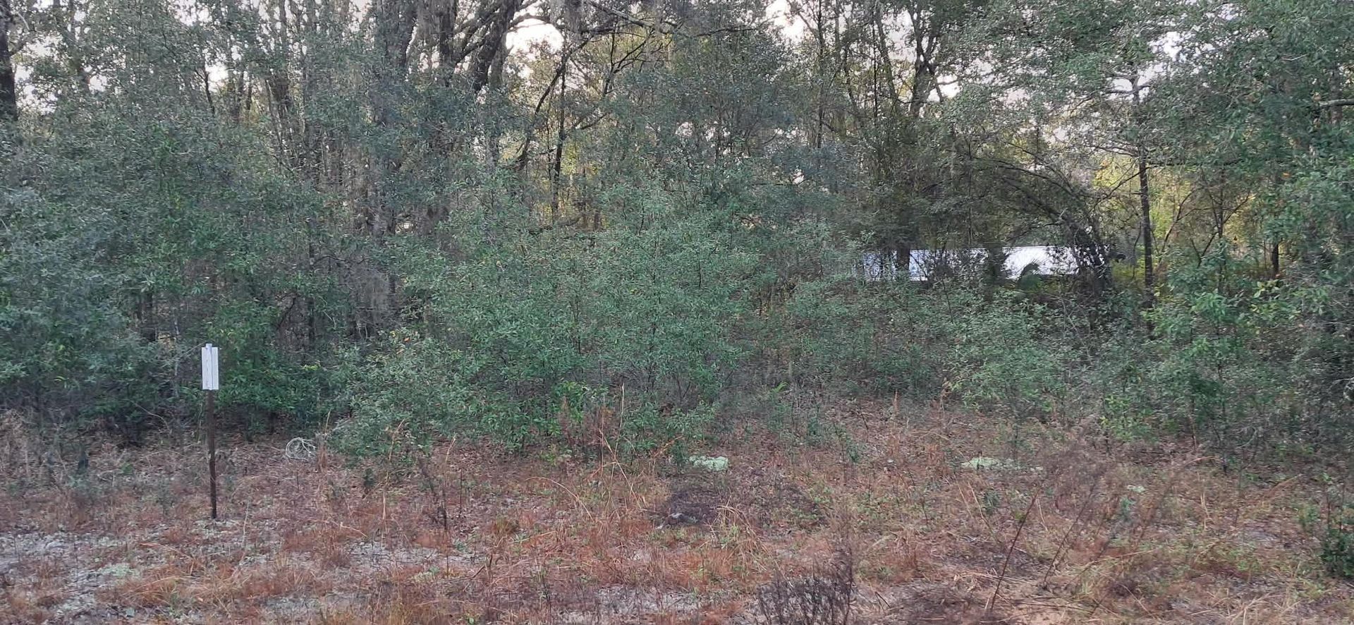 A white truck is parked in a parking lot next to a building.