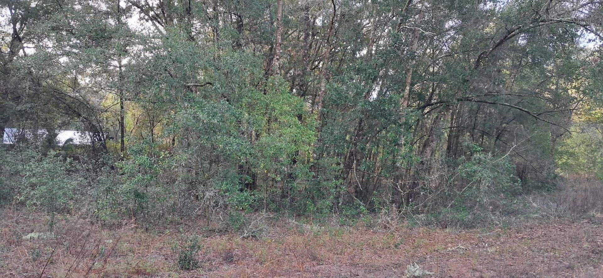 The inside of a moving truck filled with boxes and blankets.