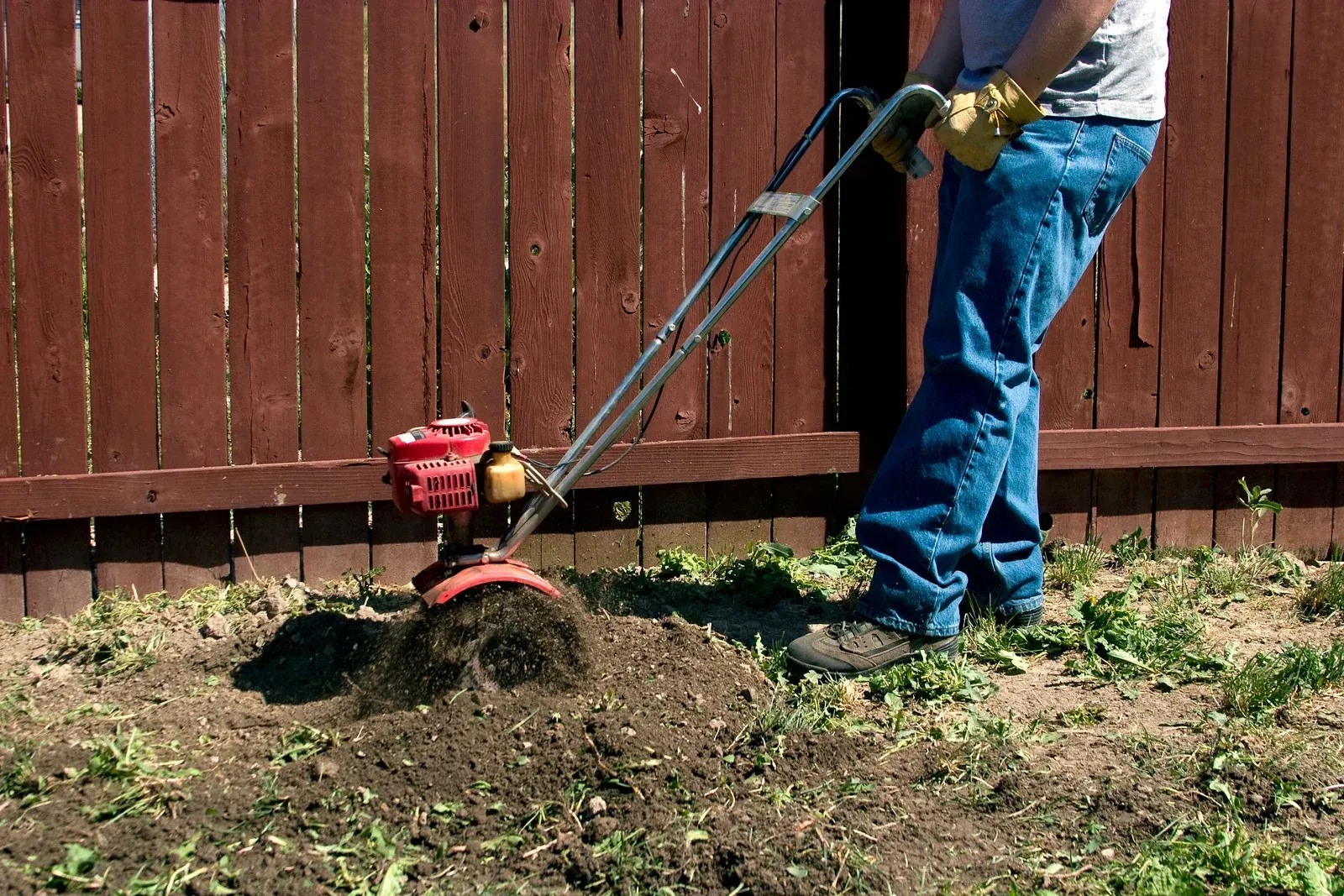 Person using a red tiller to till soil in a yard next to a wooden fence.