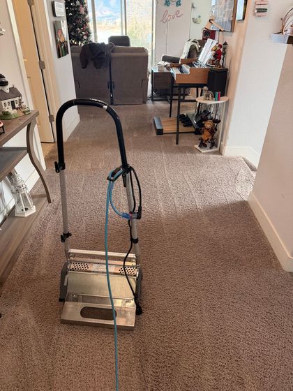 A person using a rotary machine to deep clean a thick, shaggy rug on a hardwood floor.