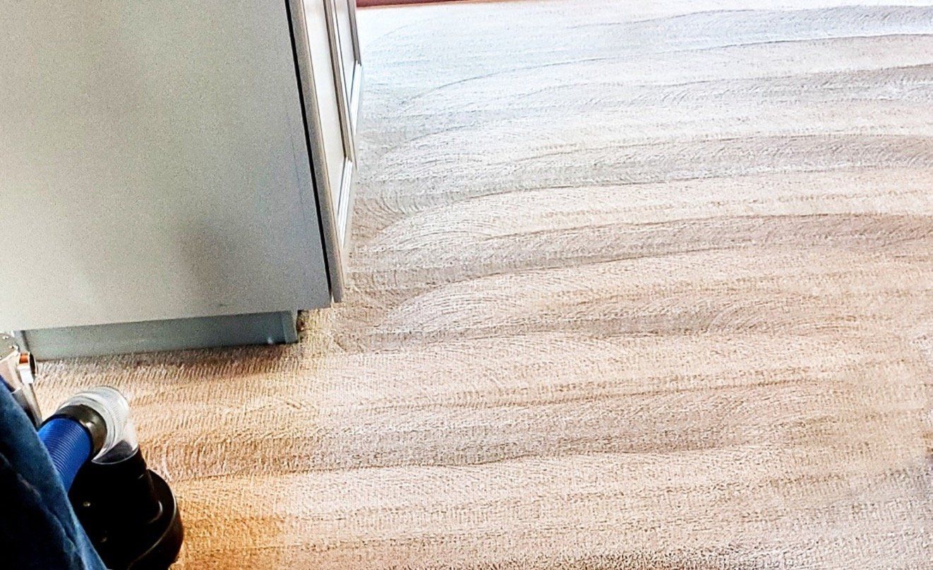 A vacuum cleaner nozzle cleans light-colored carpet, showing distinct, parallel vacuum marks on the floor.