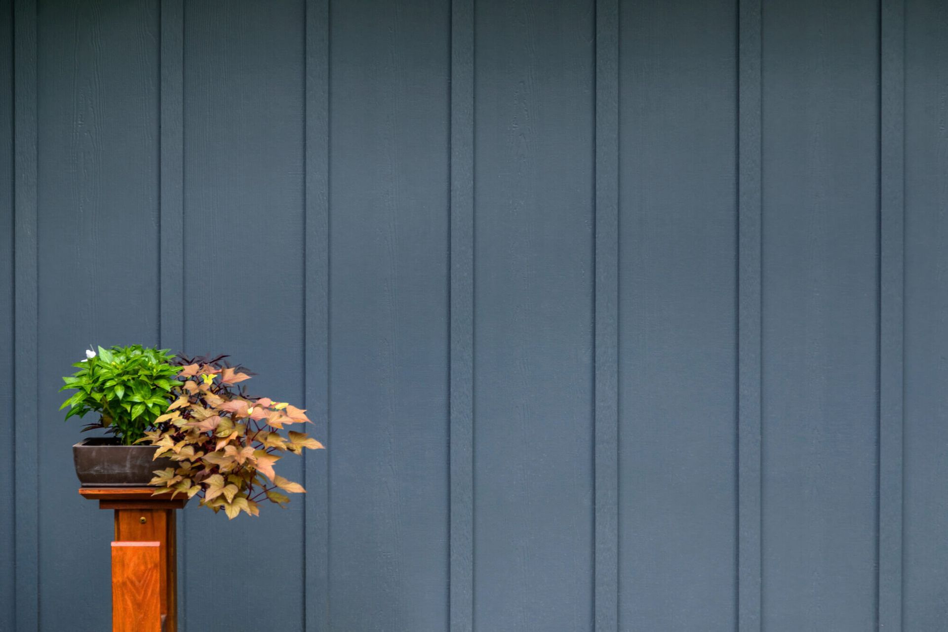 A potted plant is sitting on a wooden stand in front of a blue wall.