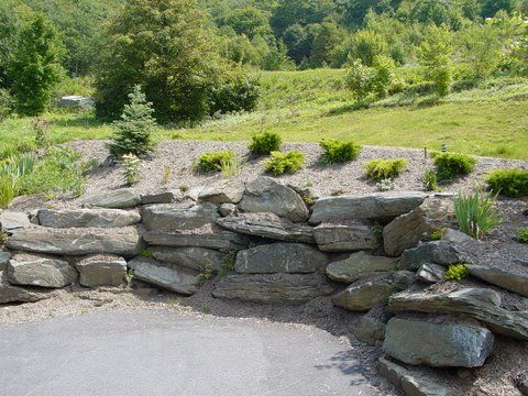 lawn care maintenance1