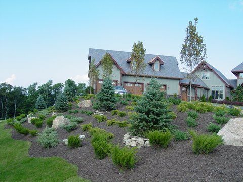 lawn care maintenance6