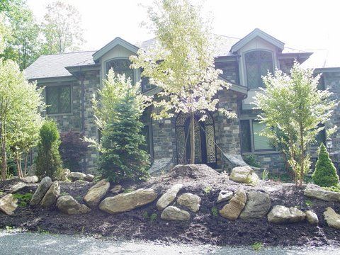 lawn care maintenance8