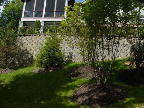 lawn care maintenance9