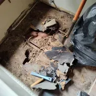 A hole in a bathroom floor reveals rotted wooden subflooring with a hammer, shovel, and trash bag nearby.