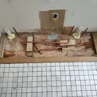 Exposed plumbing pipes and two vertical PVC stubs on a plywood subfloor in front of a tiled floor.