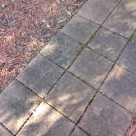 A stone pathway made of square pavers set next to a patch of dry pine needles.