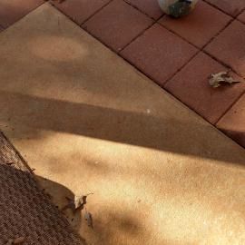 A high-angle view shows a section of concrete pathway alongside red pavers, with a cast shadow and a fallen leaf.