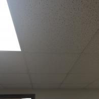 A low-angle view of white, textured acoustic drop ceiling tiles with a bright, rectangular light fixture on the left.