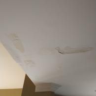 Multiple light-brown water stains on a white interior ceiling near a corner and molding.