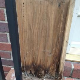 A close-up of a damaged, rotting wooden board sitting on a brick surface near a white doorway.