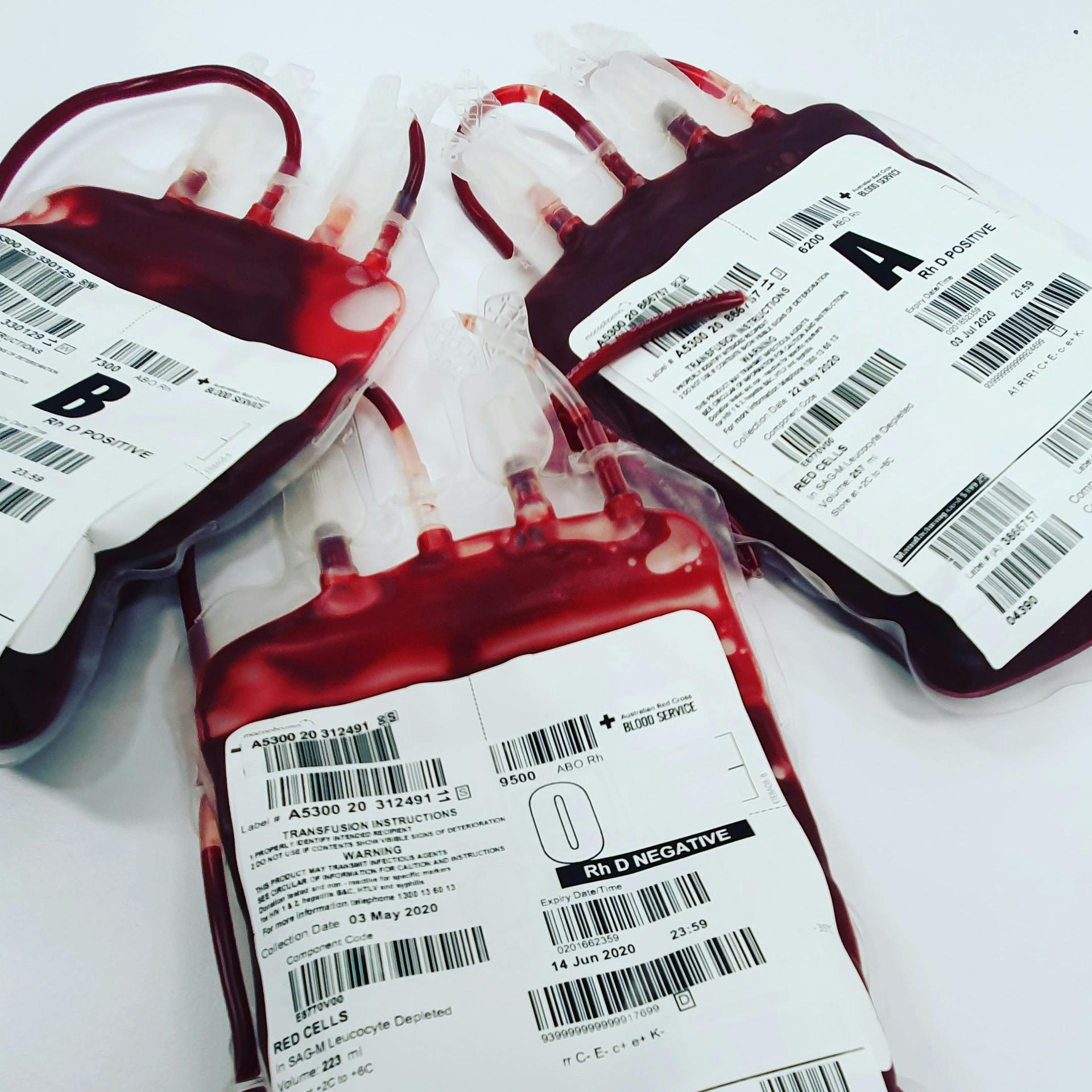 Medical Courier Services for Blood Banks and Tissue Transport