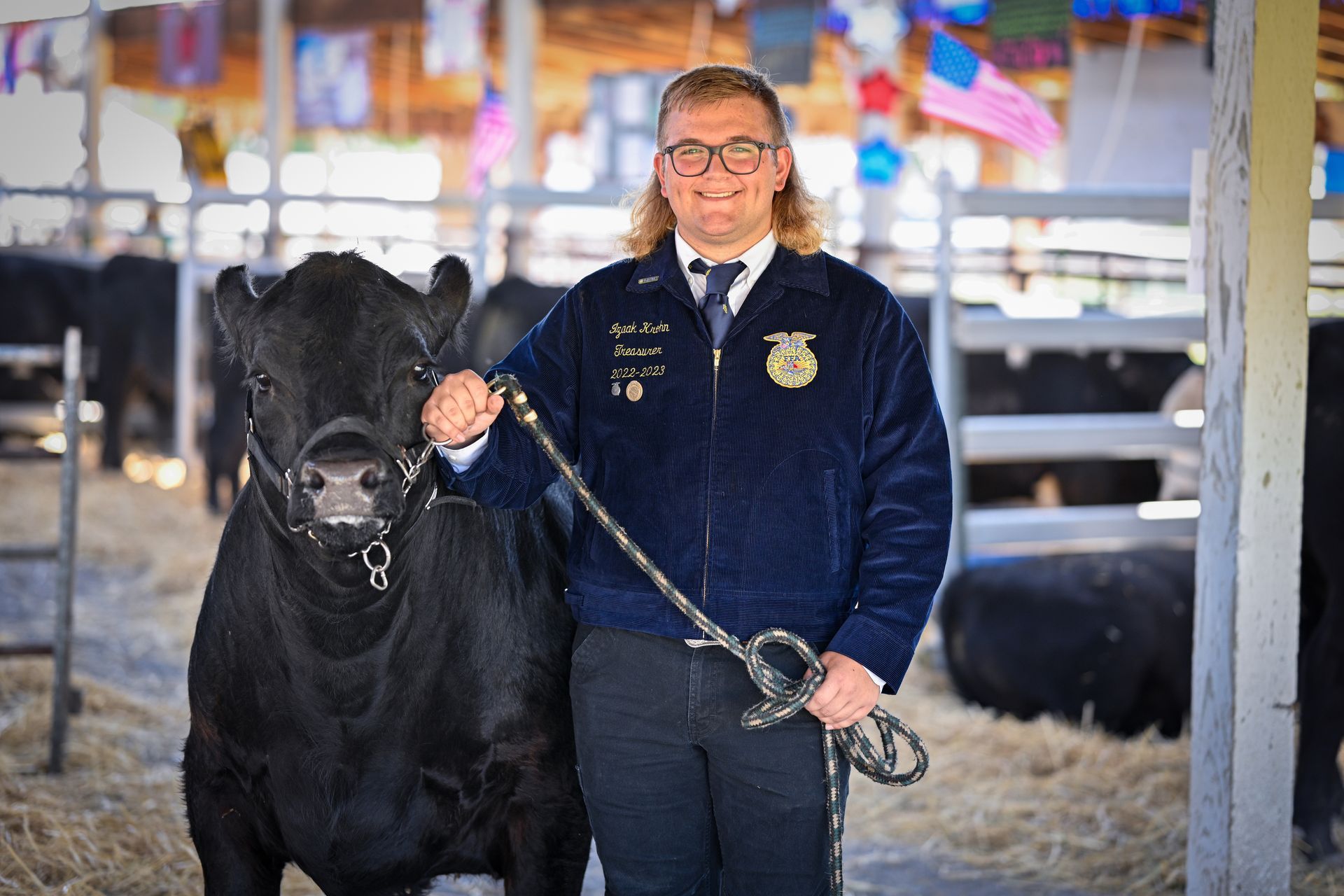 A man is standing next to a black cow on a leash.