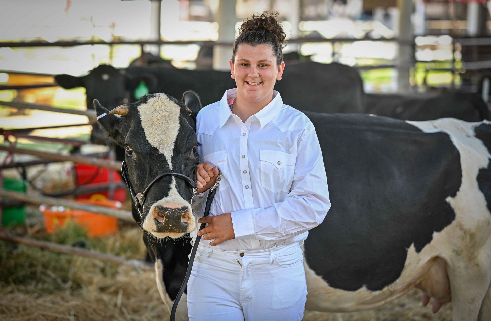 A woman is holding a black and white cow on a leash.
