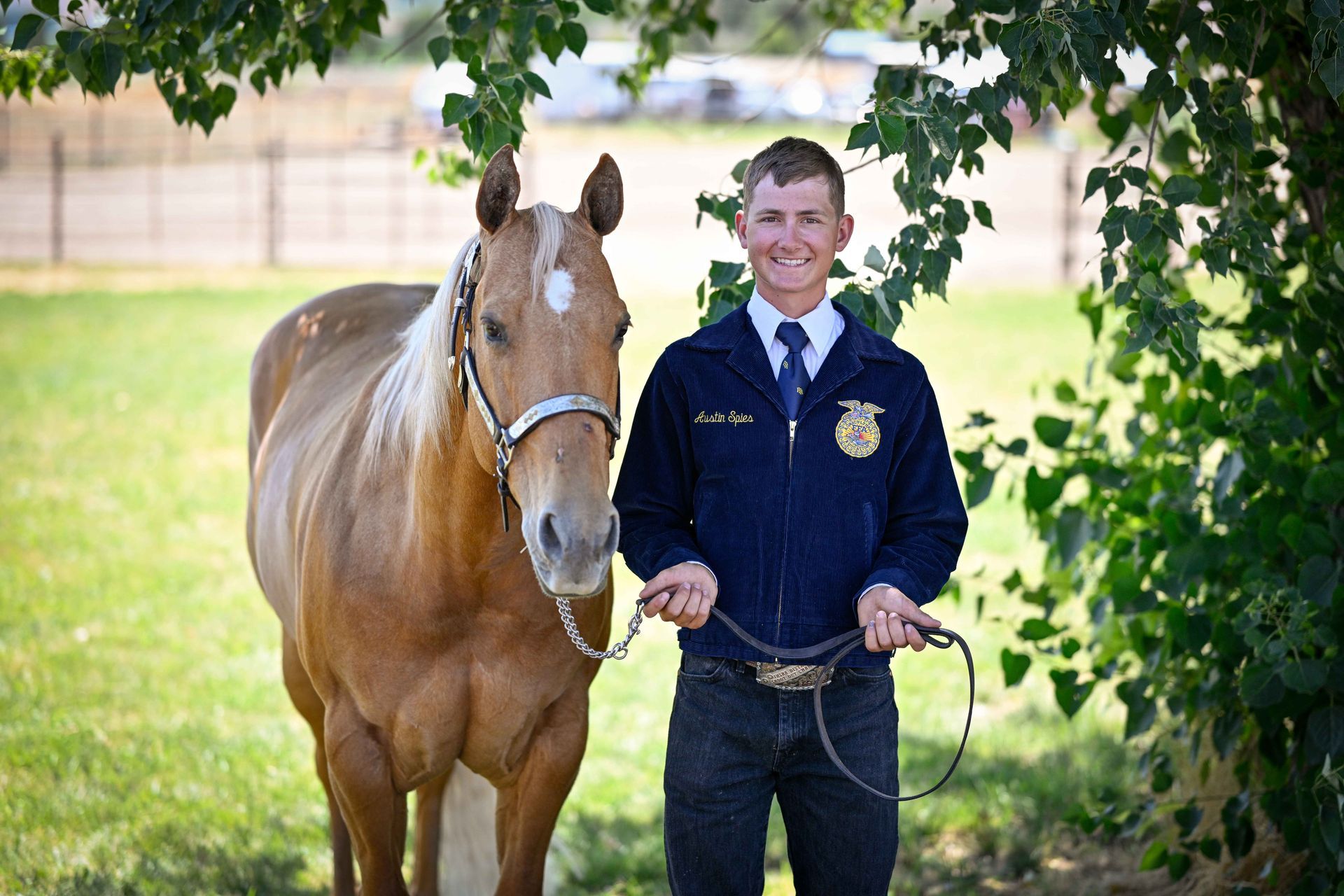 A man is standing next to a horse in a field.