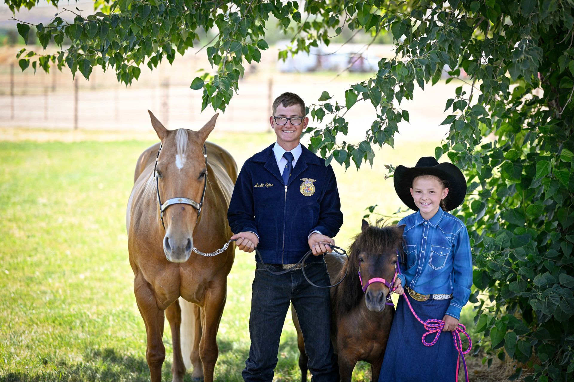 A man and a girl are standing next to two horses.