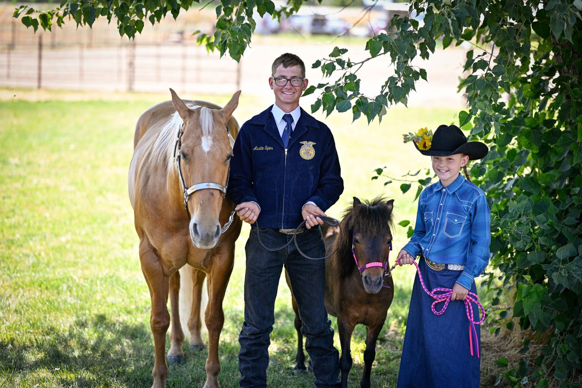 A man and a girl are standing next to two horses.
