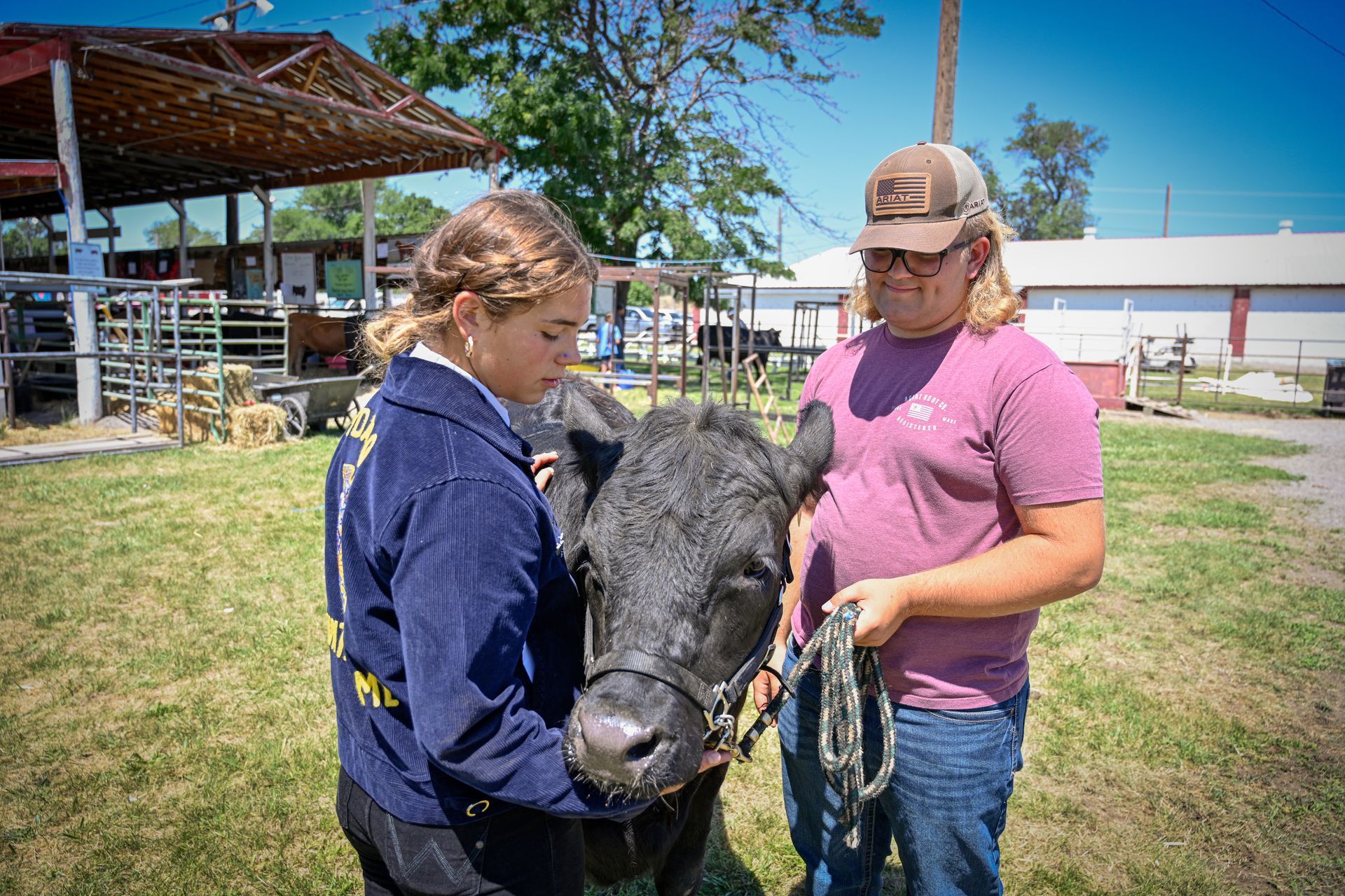 A man and a woman are petting a cow in a field.