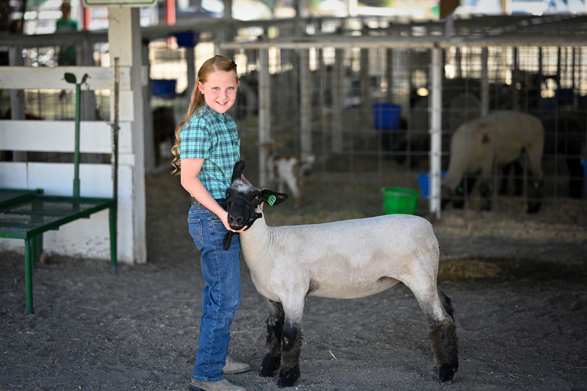 A young girl is standing next to a sheep at a farm show.
