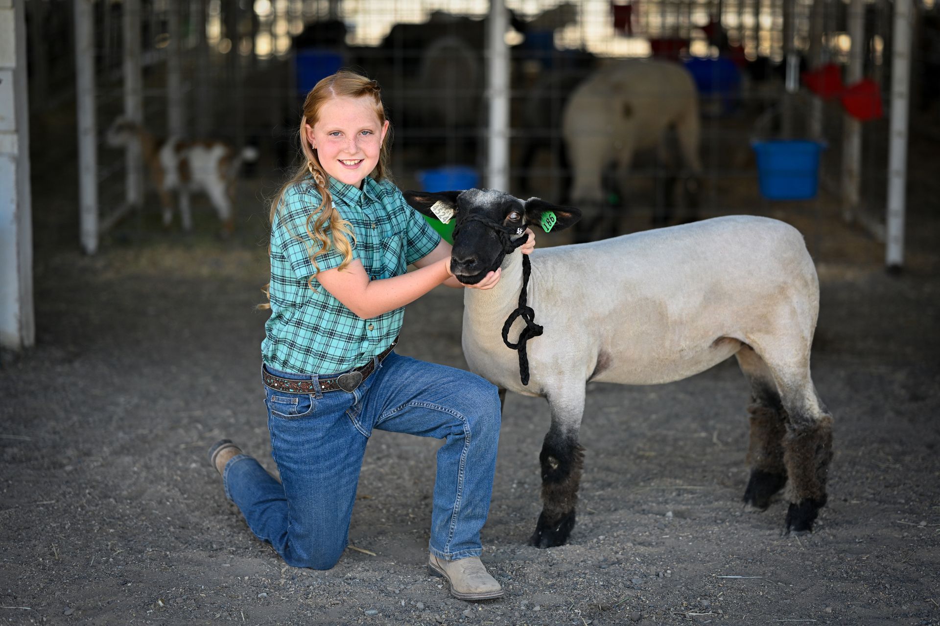 A young girl is kneeling down next to a sheep.