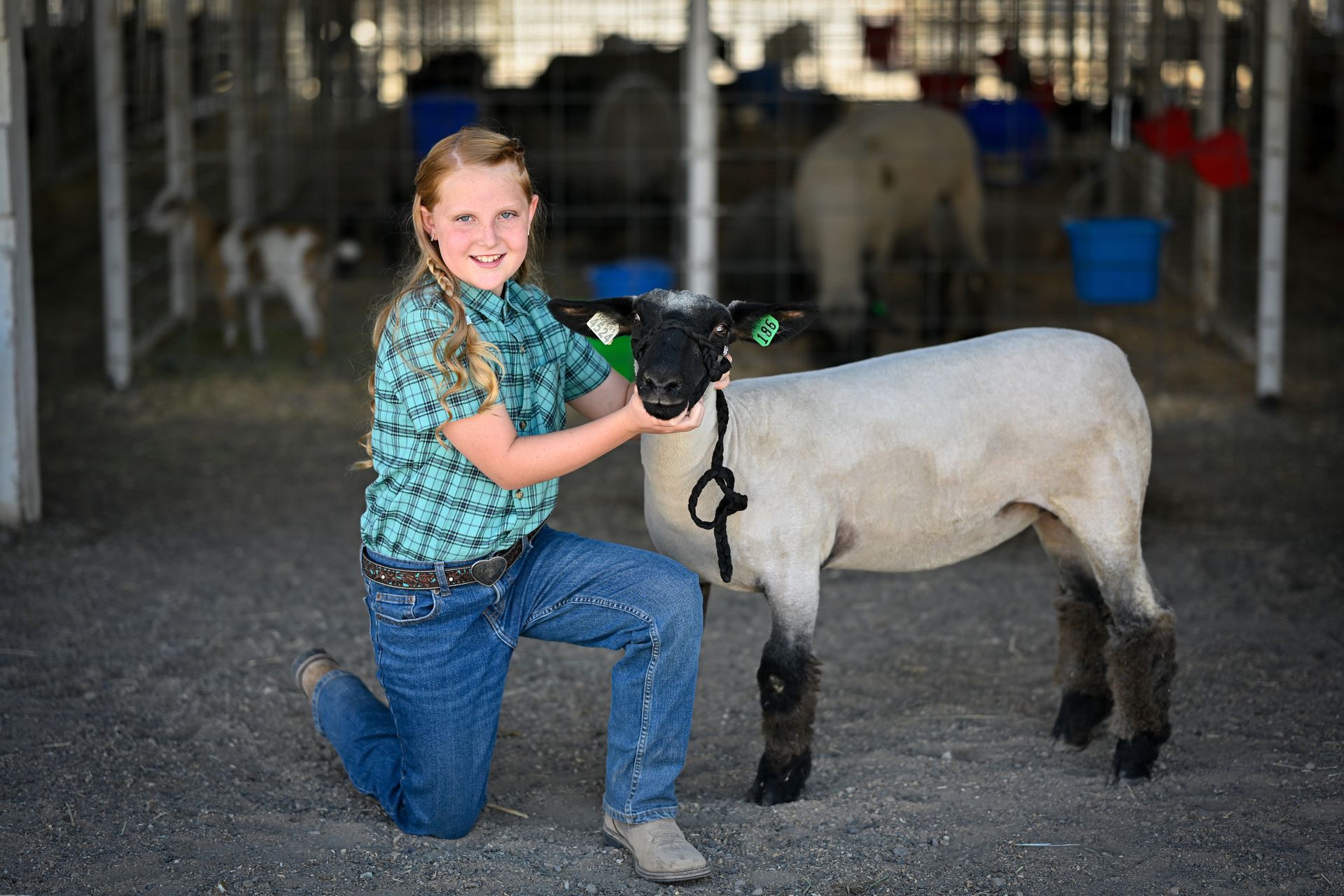 A young girl is kneeling down next to a sheep.