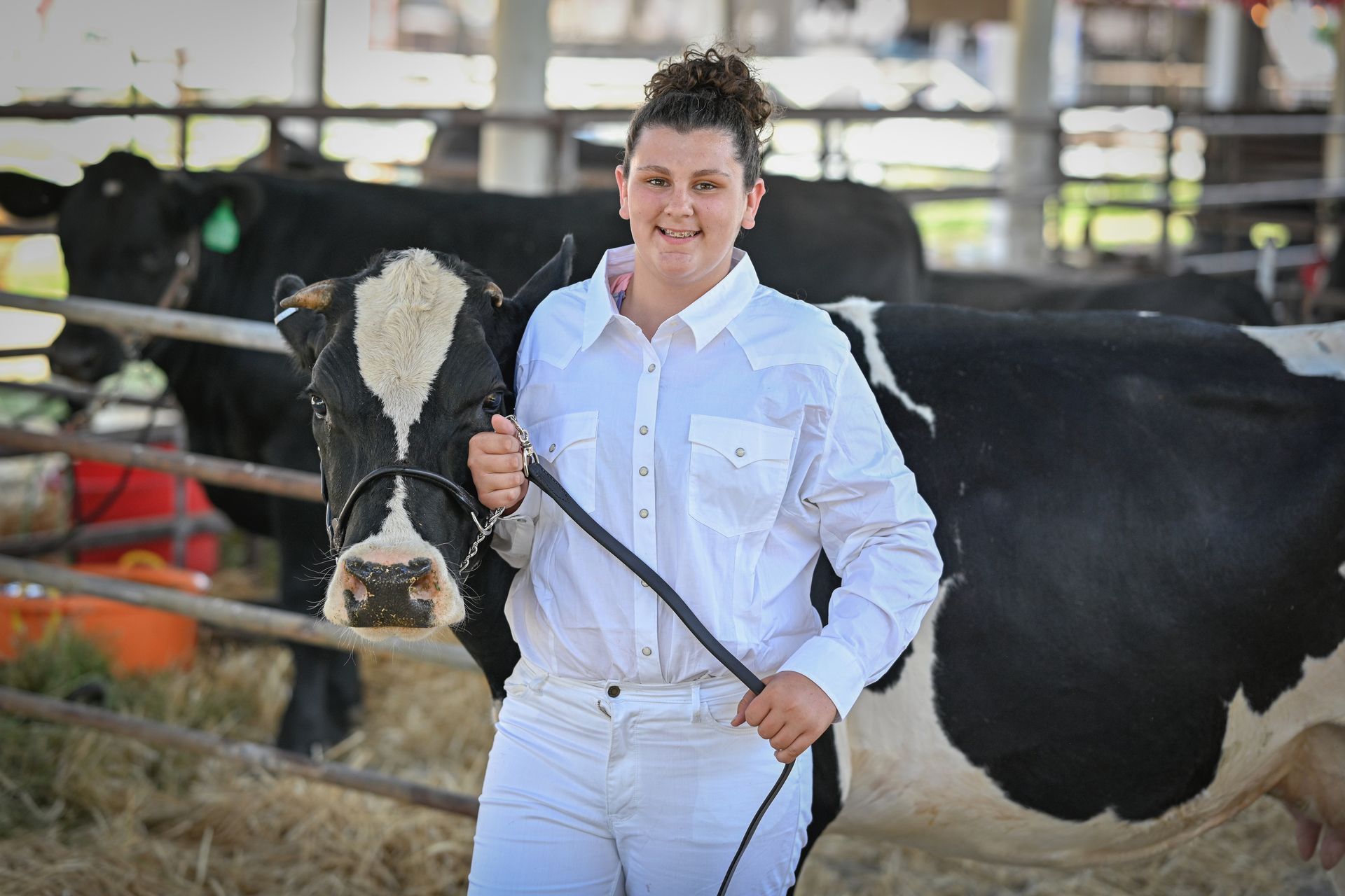 Elmore County Fair and Rodeo | Glenns Ferry, ID