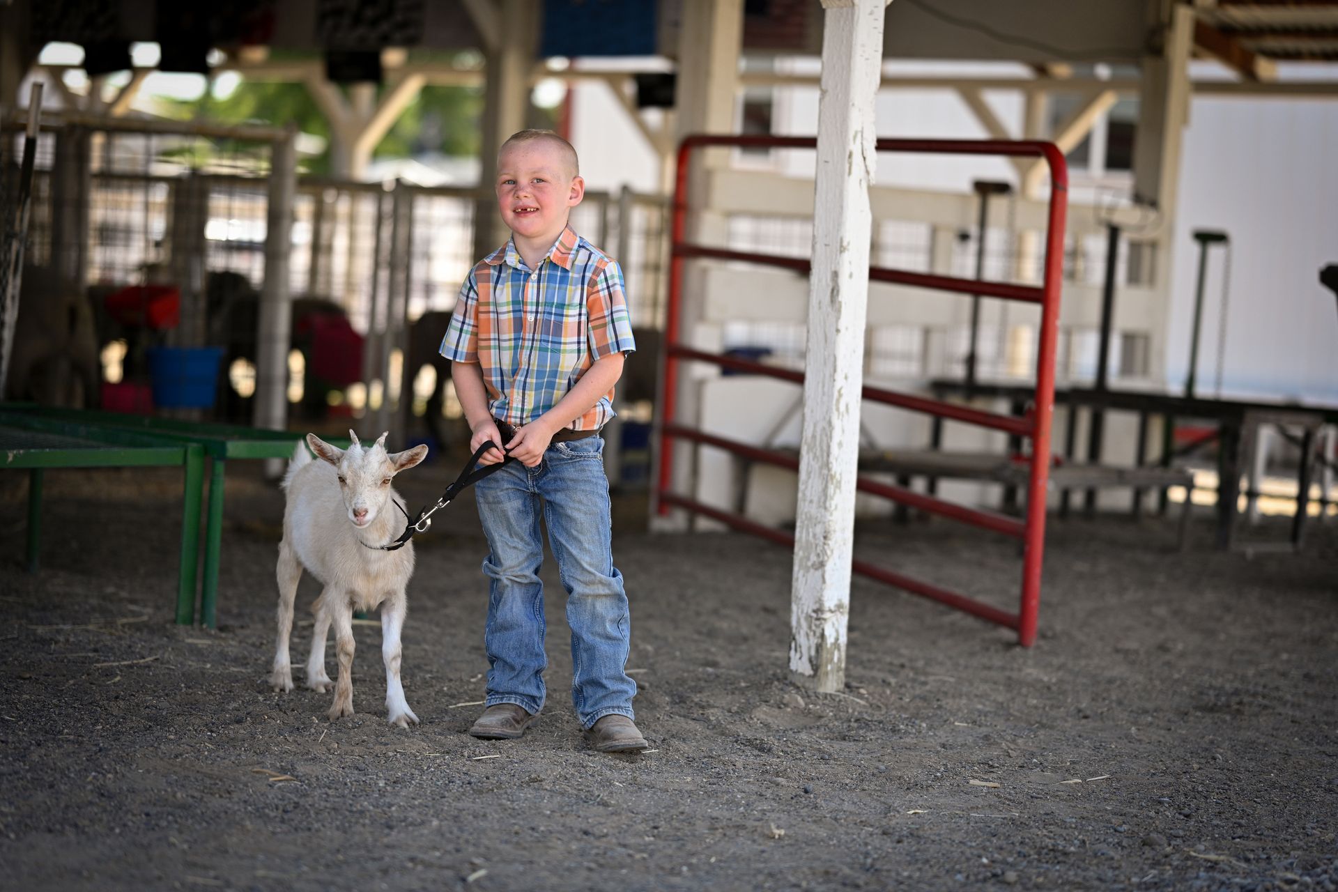 Gallery Elmore County Fair and Rodeo