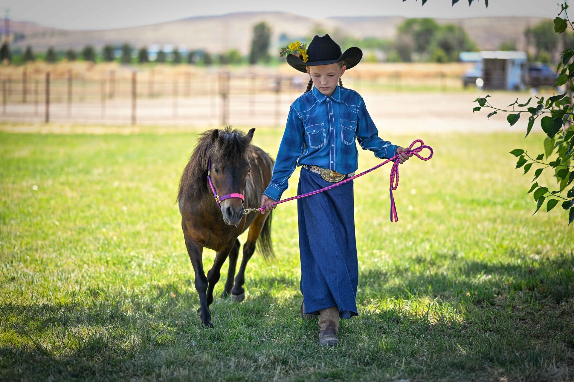 Gallery Elmore County Fair and Rodeo