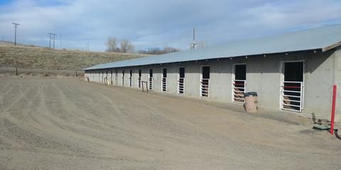 A row of horse stables with open doorways, set on a gravel lot under a cloudy sky.