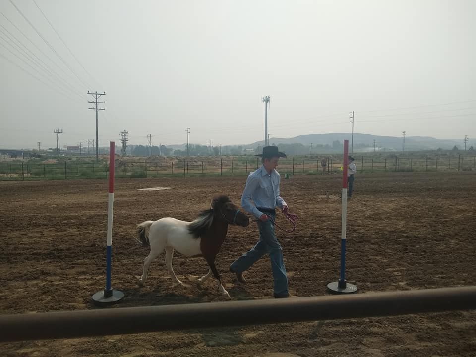 A man is walking a pony in a dirt field.