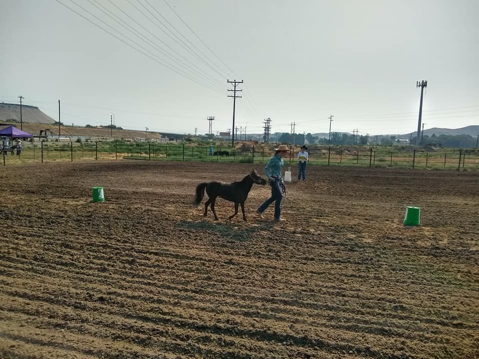 A man walking a horse in a dirt field