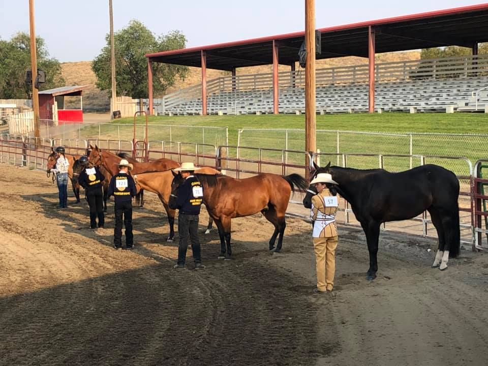 A group of people standing next to horses in a fenced in area.