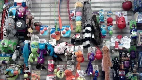 Different Dog Toys | Brookline, MA | No Bones About It