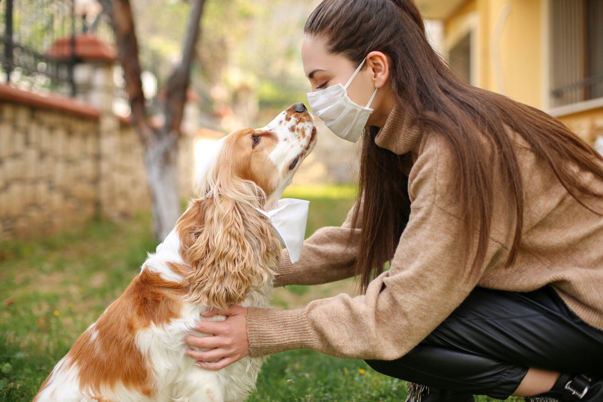 Girls With Facemask Kissing A Dog | Brookline, MA | No Bones About It