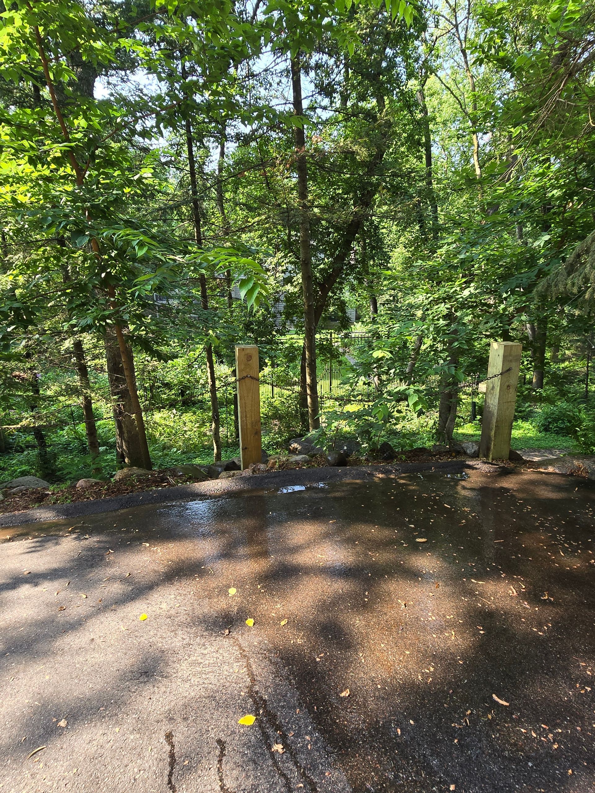 A dirt road surrounded by trees on a sunny day.