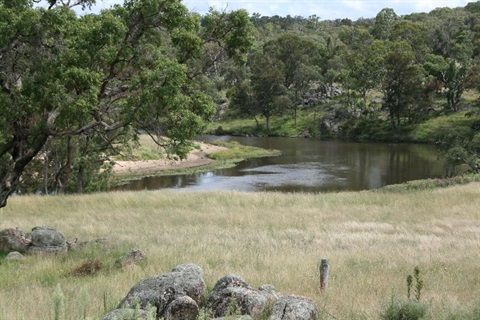 A City Street With a Clock Tower in the Background — Cuttle Plumbing in Kingstown, NSW