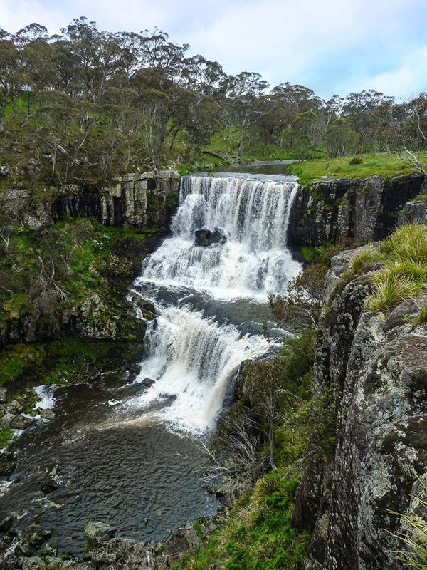 A Waterfall is Surrounded by Trees and Rocks in the Middle of a Forest — Cuttle Plumbing in Ebor, NSW