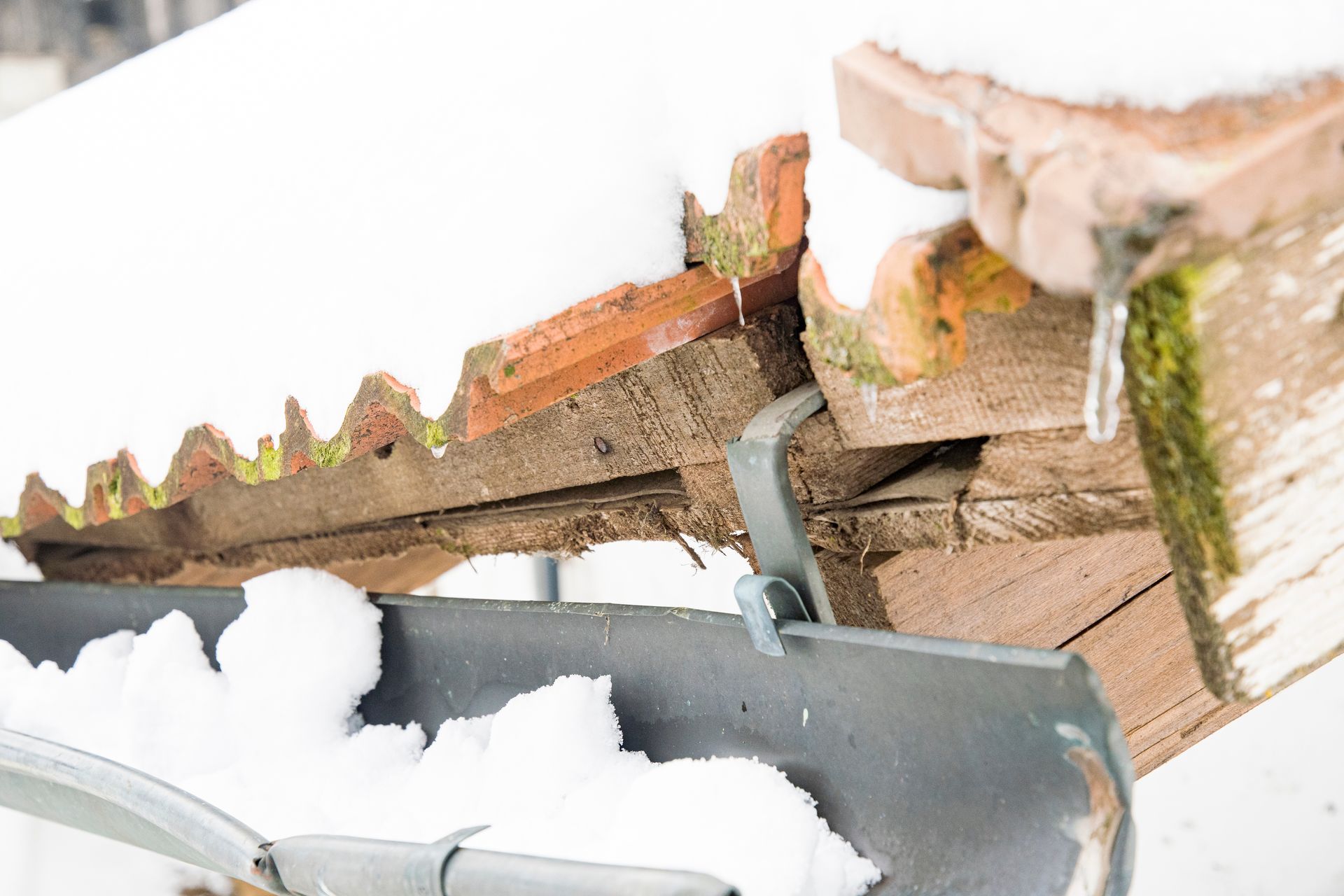 lake effect snow causing for damage in Kalamazoo